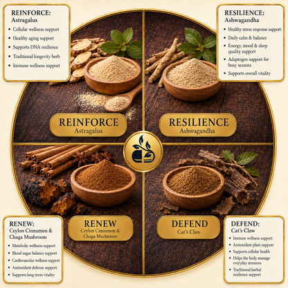 DEFY AGING - Anti-Aging Support