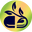 SPECIFIC HEALTH SOLUTIONS "The Healing Power of Nature" logo